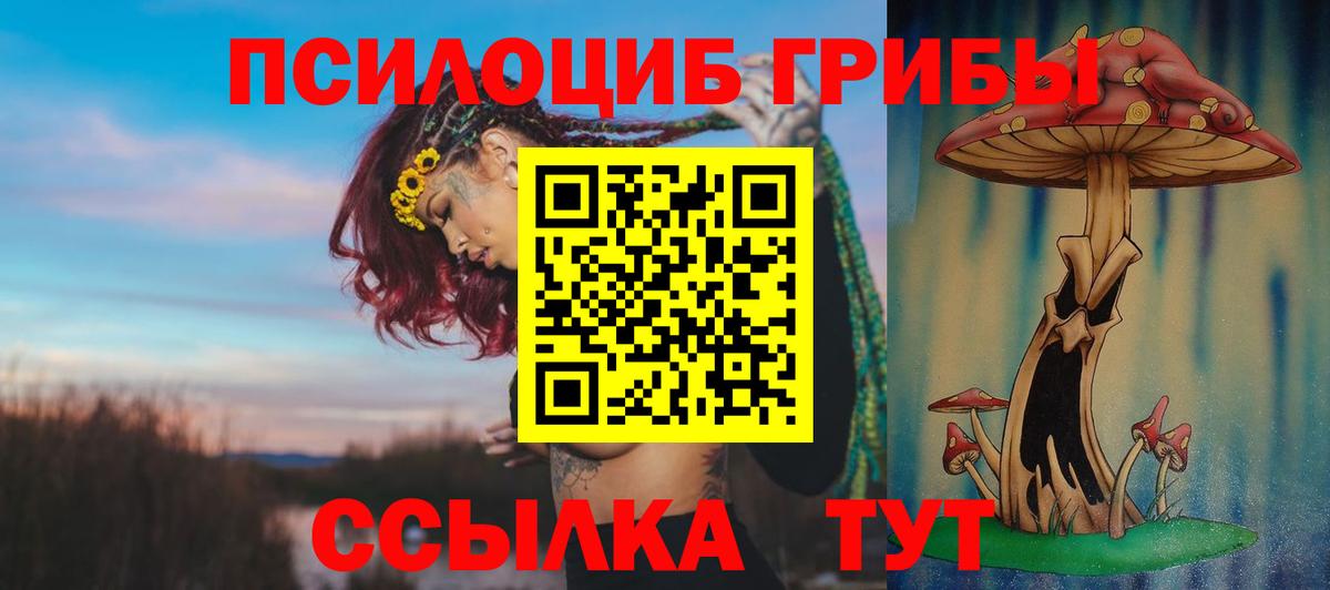 Вичуга  где можно купить наркотик  Вход с VPN  Галлюциногенные грибы прущие грибы 
