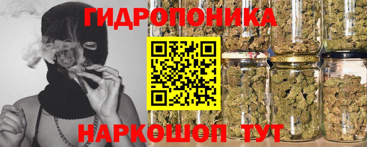 Шишки марихуана Ganja Вичуга